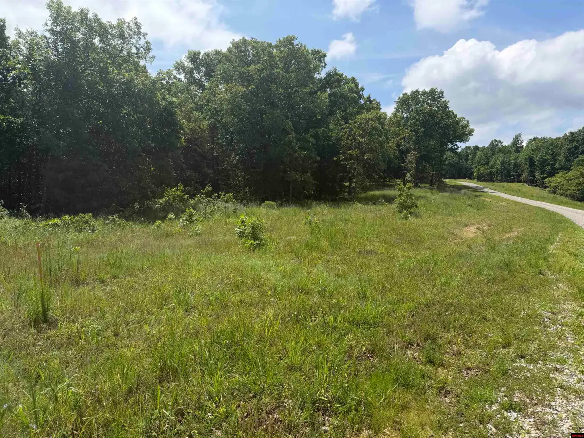 Tract 18 HWY 201 NORTH, Clarkridge, AR 72623 - #1