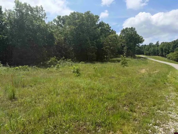 Tract 18 HWY 201 NORTH, Clarkridge, AR 72623