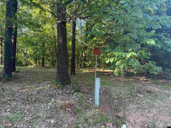 276 MC 6034, Yellville, AR 72687