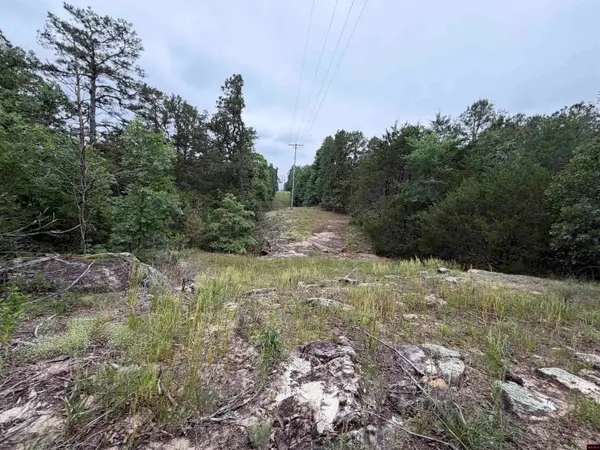 1031 OLD DOLPH ROAD, Calico Rock, AR 72519