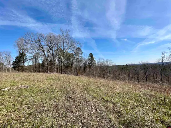 Tract 4 RAMBLEWOOD TRAIL, Yellville, AR 72687