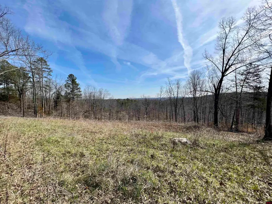 Tract 4 RAMBLEWOOD TRAIL, Yellville, AR 72687 - #2