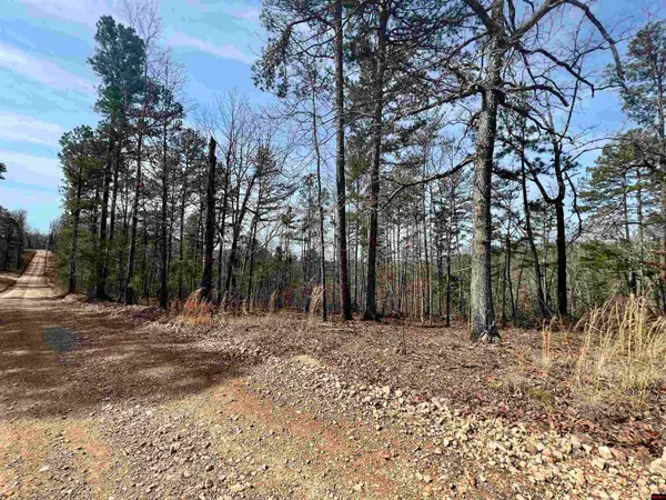 Tract 6 RAMBLEWOOD TRAIL, Yellville, AR 72687