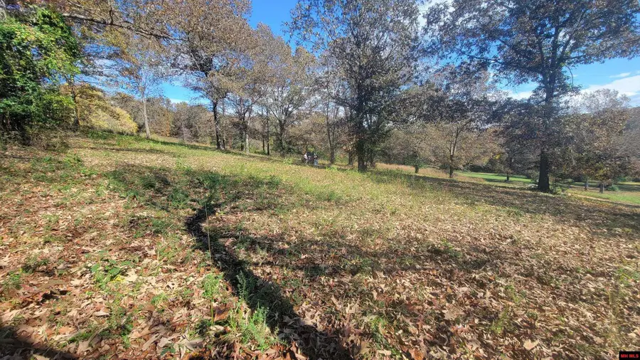 490-00001-008 FOX CHASE DRIVE, Flippin, AR 72634 - #3