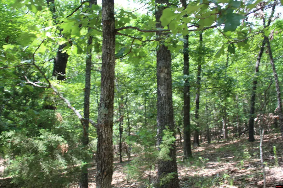 Lot 64 OAKRIDGE DRIVE, Theodosia, MO 65761 - #2