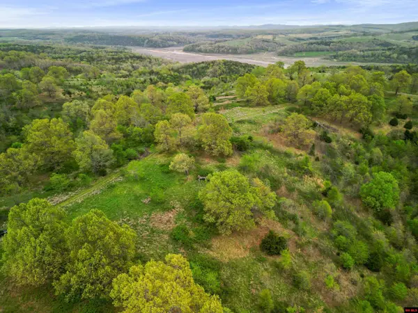 Lot 1,3,4-21 STATE HWY D, Thornfield, MO 65762