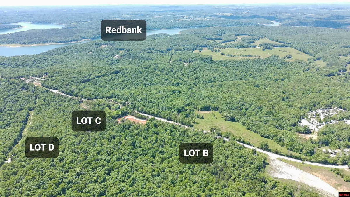 6615 HWY 101, Gamaliel, AR 72537 - #1