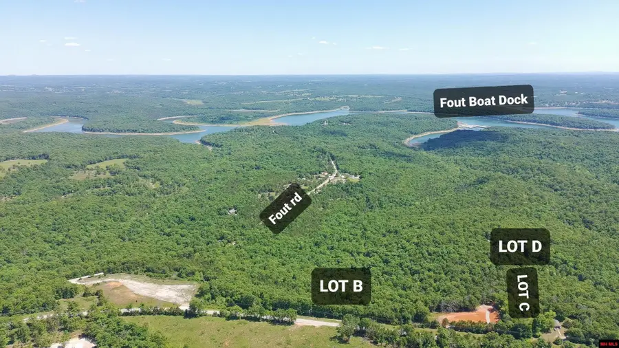 6615 HWY 101, Gamaliel, AR 72537 - #3