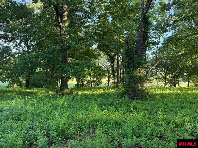 4019 SAVANNAH DRIVE, Harrison, AR 72601 - #3