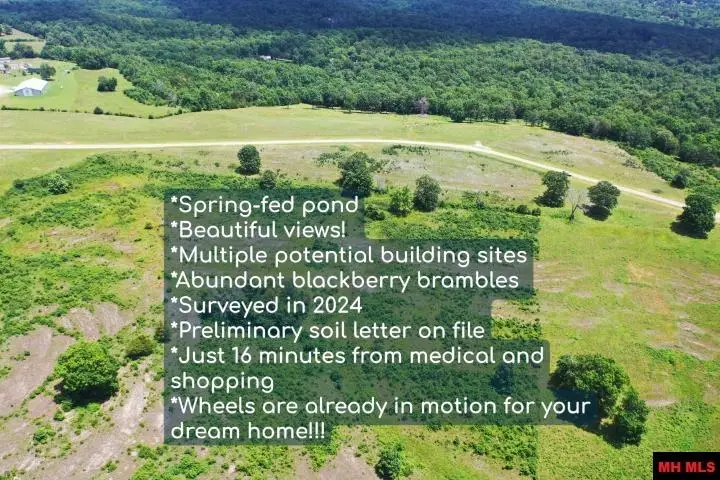 Tract 2 HWY 201 NORTH, Clarkridge, AR 72623 - #1