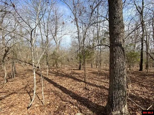 Lot 4 LAKEPOINTE DRIVE, Clarkridge, AR 72623