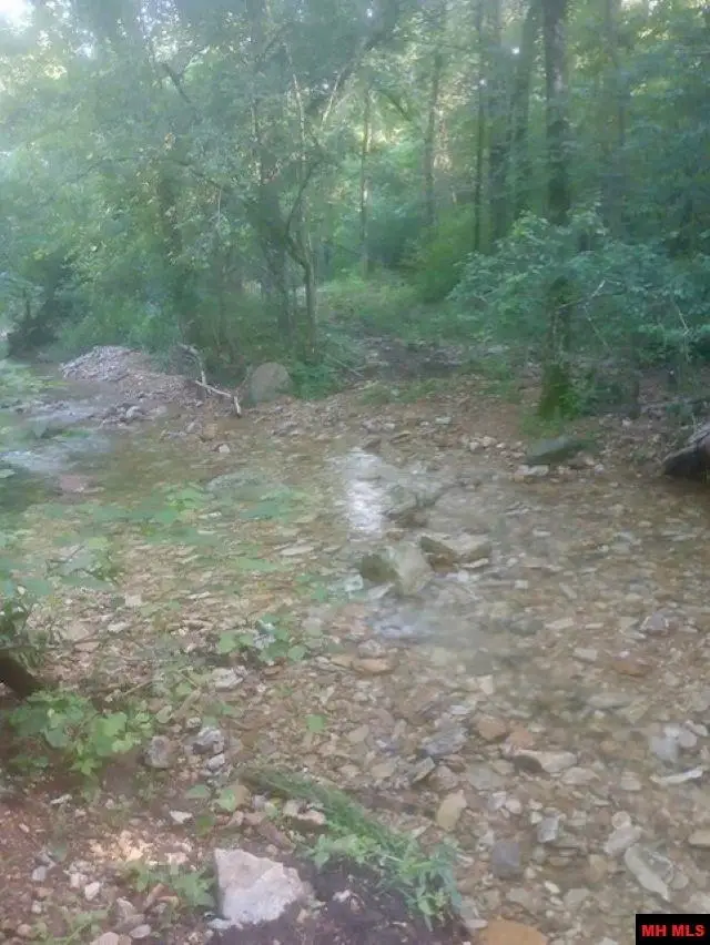 898 MC 2066, Peel, AR 72668 - #3