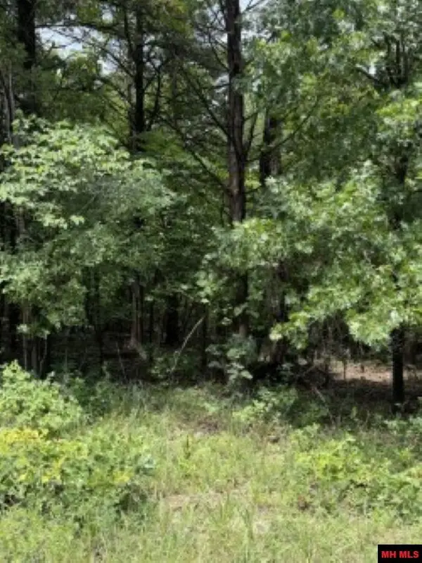 Lot 61 HEBRIDES AVENUE, Briarcliff, AR 72653