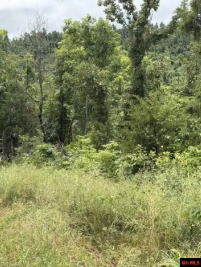 Lot 7 CR 868, Henderson, AR 72544 - #2