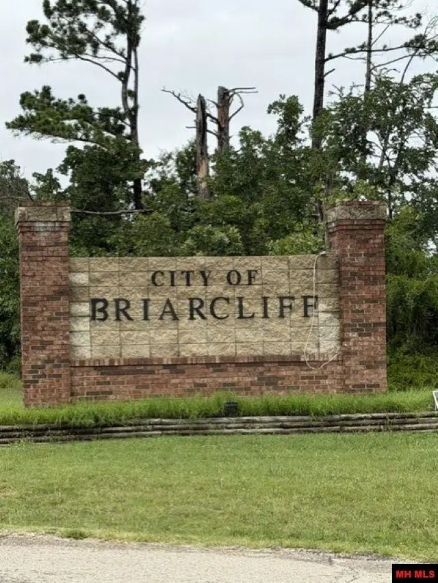 Lot 496 HEBRIDES AVENUE, Briarcliff, AR 72653 - #1