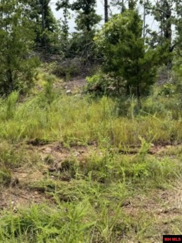 Lot 23 CR 868, Henderson, AR 72544 - #2