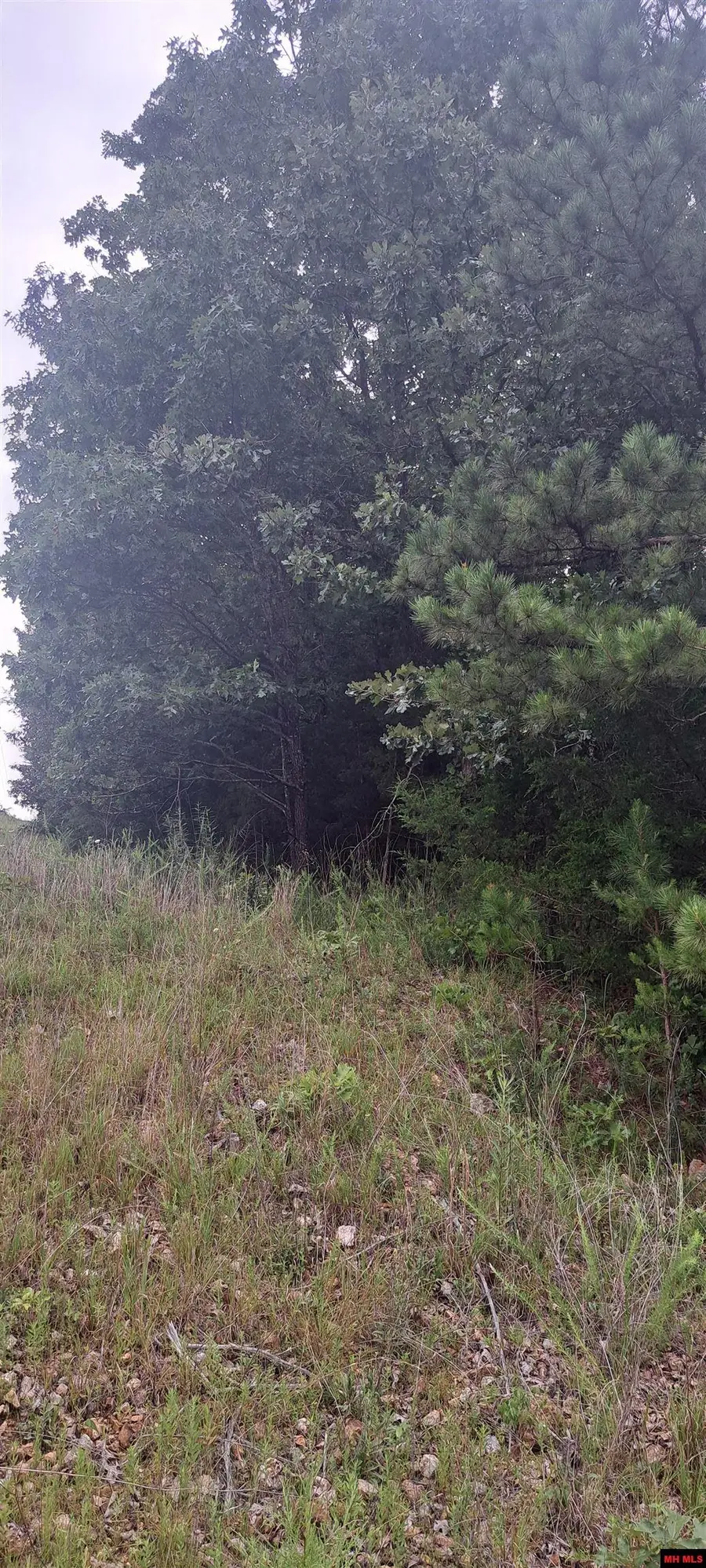 Lot 4 BASSWOOD DRIVE, Mountain Home, AR 72653 - #2