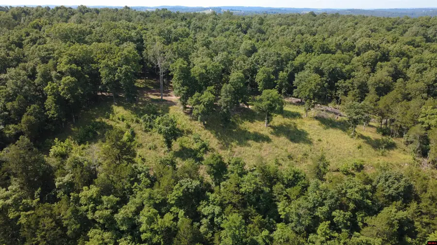 693 CR 231, Henderson, AR 72544 - #3