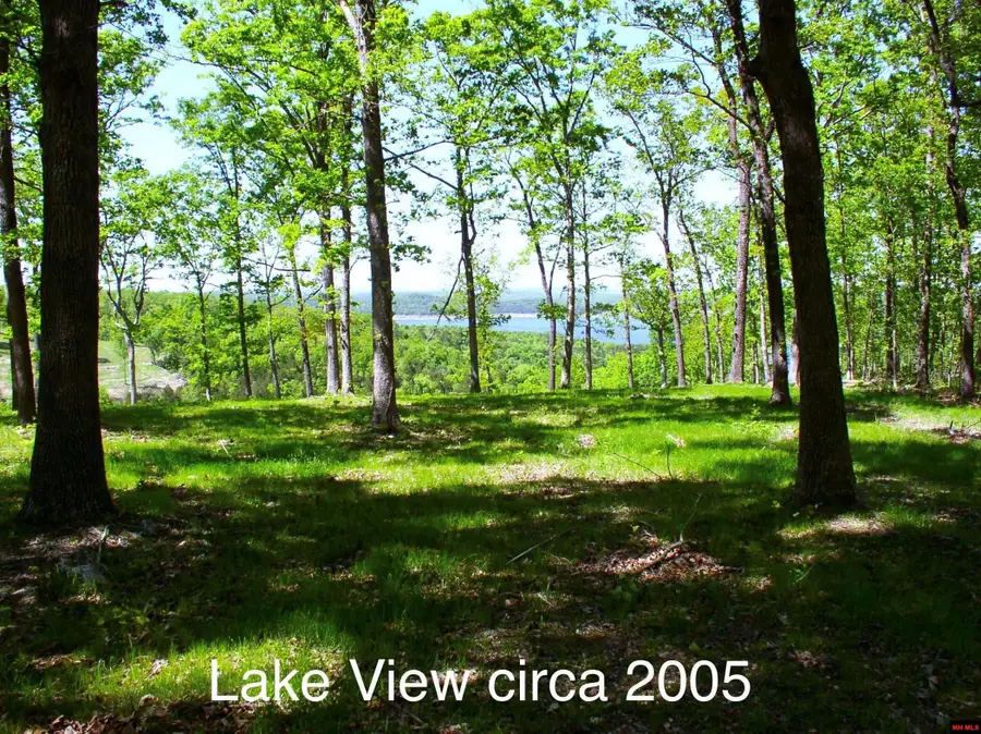 Lots 32H & 34 J AIR PARK DRIVE, Yellville, AR 72687 - #2
