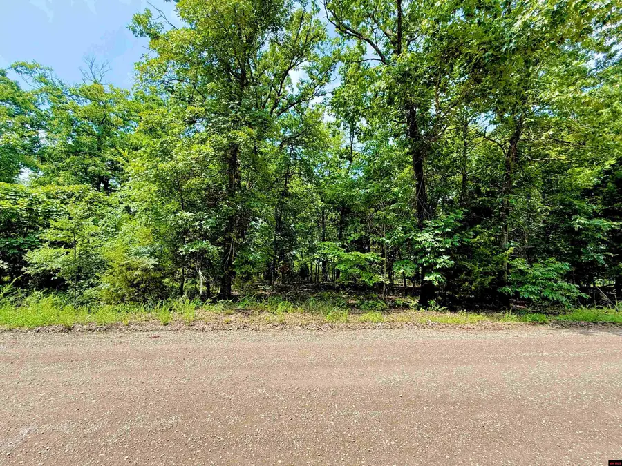 Lots 32H & 34 J AIR PARK DRIVE, Yellville, AR 72687 - #3