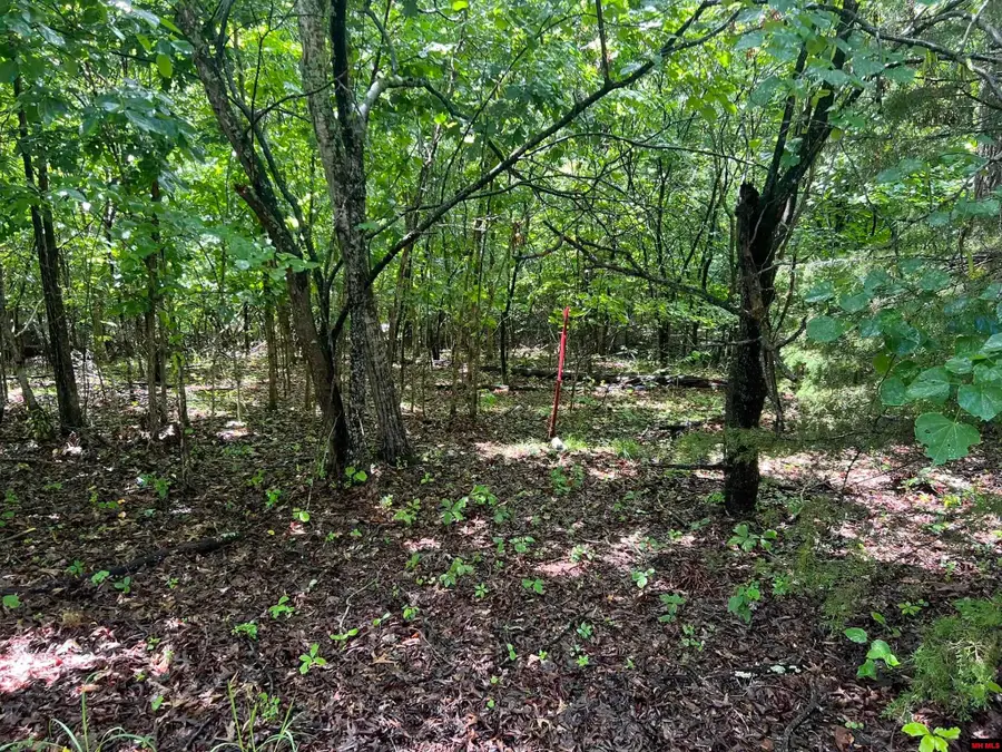 006-02993-000 HWY 178, Lakeview, AR 72642 - #3