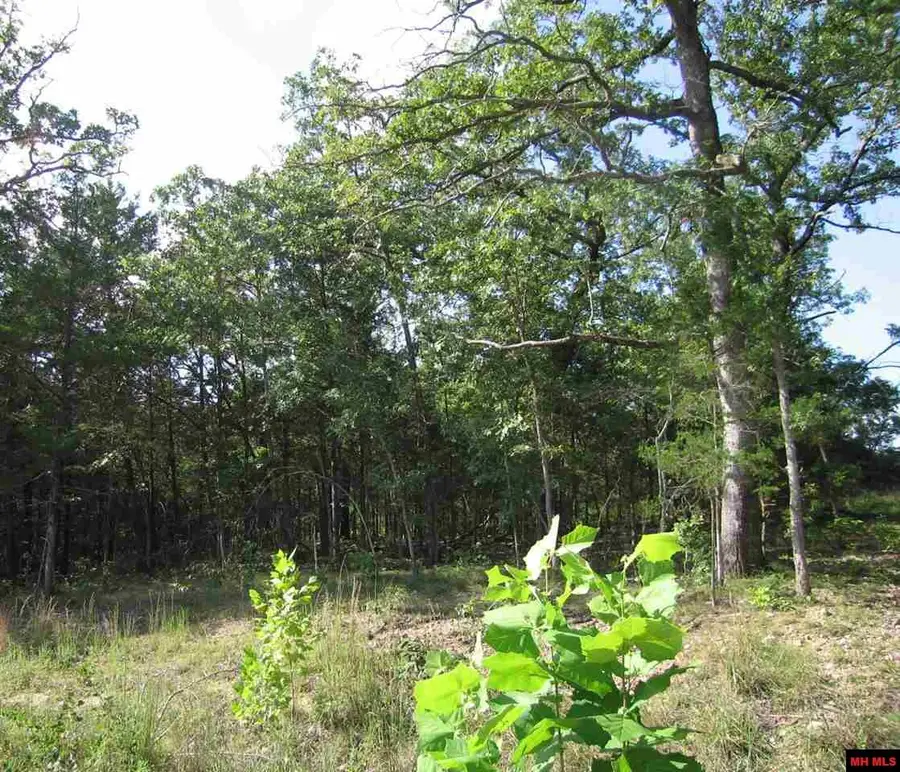 Lot 15 SARGENT PEPPER DRIVE, Flippin, AR 72634 - #2