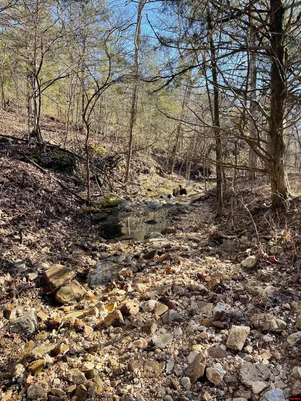 170614000000001 HWY 160, Gainesville, MO 65655