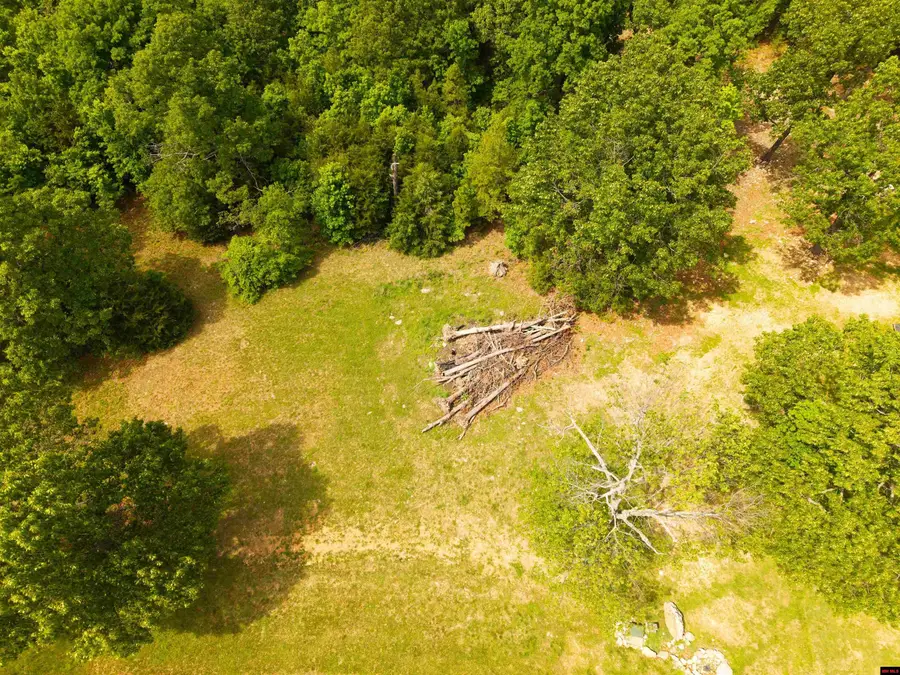 Lot 14 DENMARK CIRCLE, Mountain Home, AR 72653 - #2