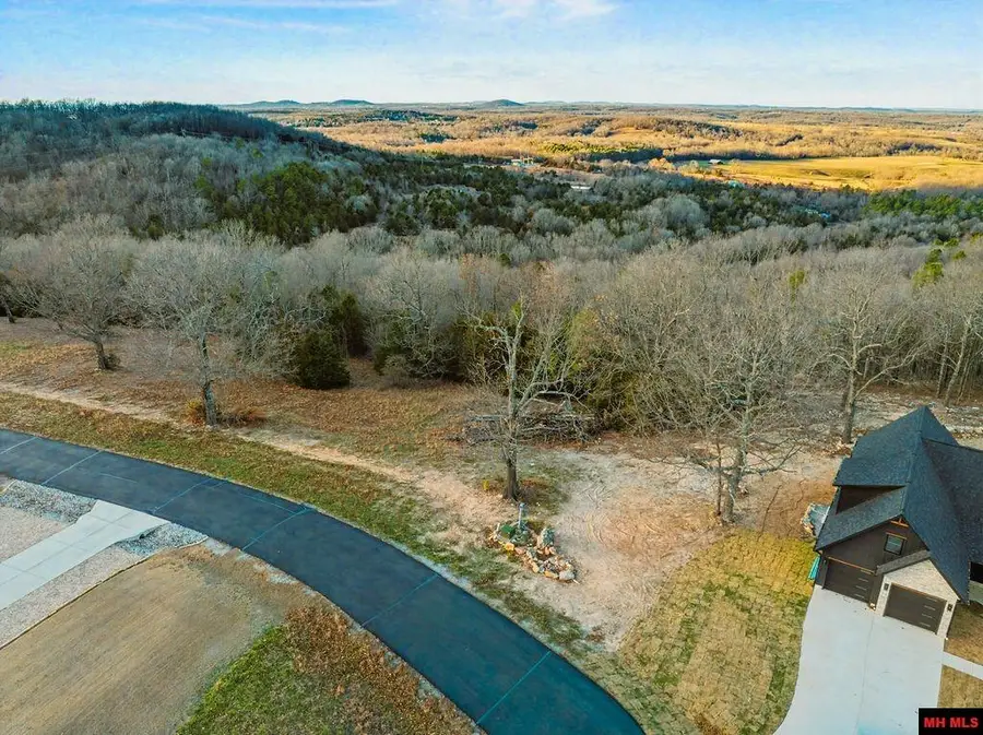 Lot 14 DENMARK CIRCLE, Mountain Home, AR 72653 - #3
