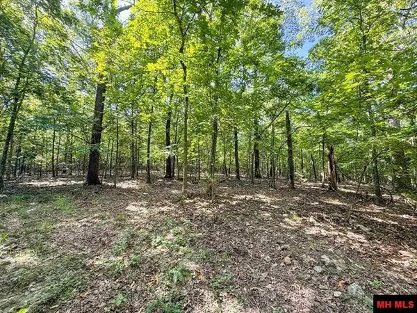 40 ac CR 625, Mountain Home, AR 72653