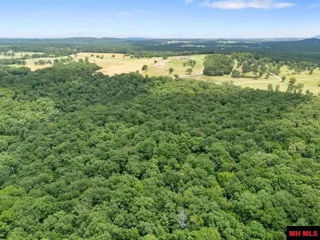 40 ac CR 625, Mountain Home, AR 72653 - #2