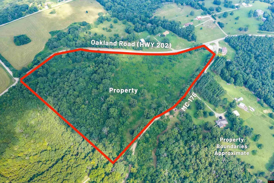001-03203-000 OAKLAND ROAD, Oakland, AR 72661 - #3