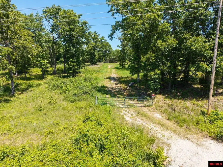 3150 BUFORD CUTOFF, Mountain Home, AR 72653 - #3