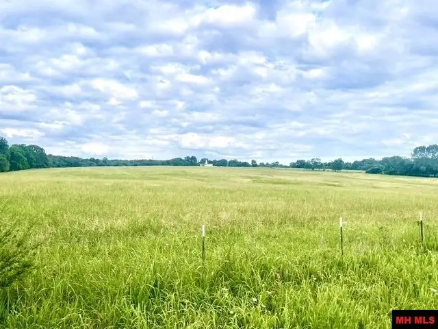 BERRYWOOD LANE, Gassville, AR 72635 - #2