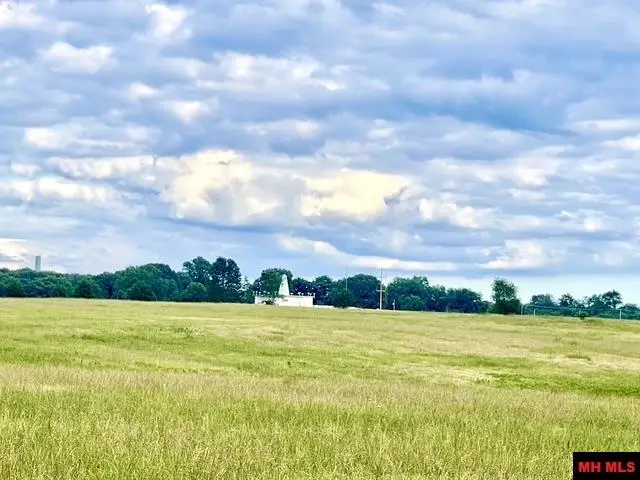 BERRYWOOD LANE, Gassville, AR 72635 - #3