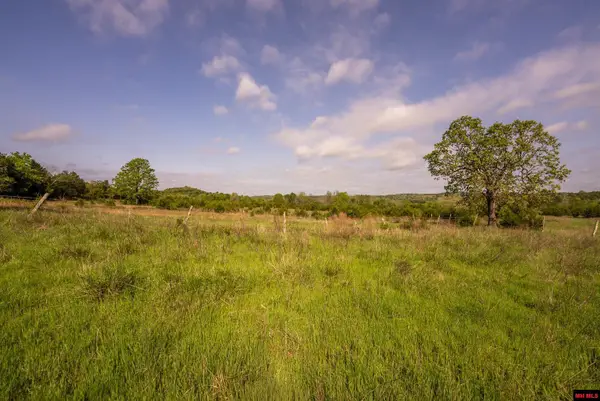 Tract 2 LITTLE WOODS ROAD, Elizabeth, AR 72531