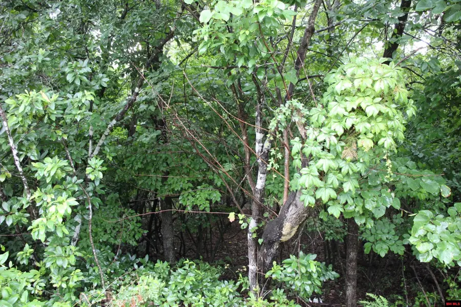 001-02314-001 GREEN FOREST TRAIL, Mountain Home, AR 72653 - #2