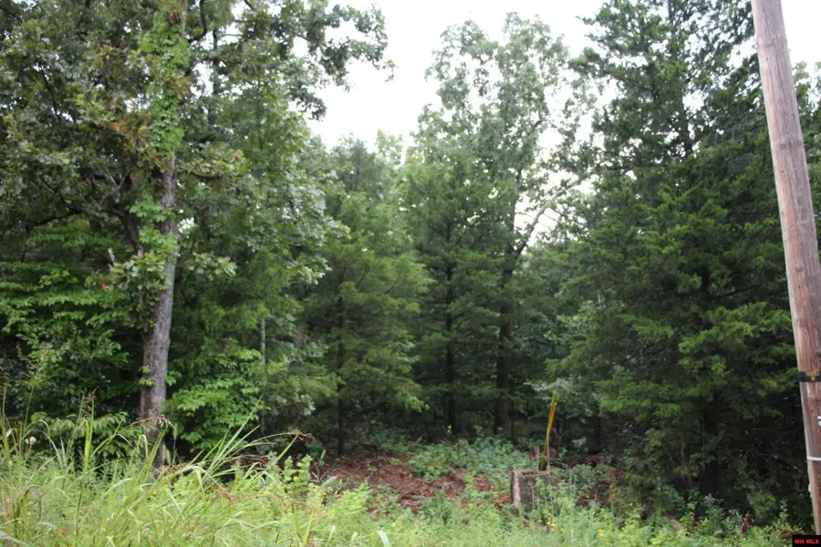 001-02314-001 GREEN FOREST TRAIL, Mountain Home, AR 72653 - #3