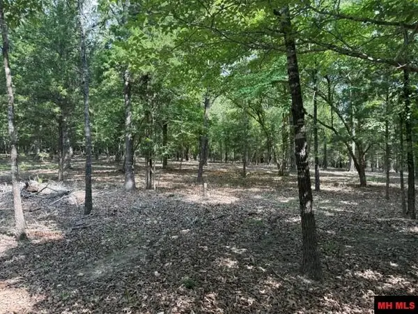 18 CATAWBA, Clarkridge, AR 72623