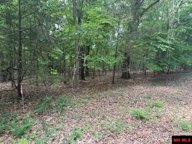 218 CR 472, Clarkridge, AR 72623 - #1