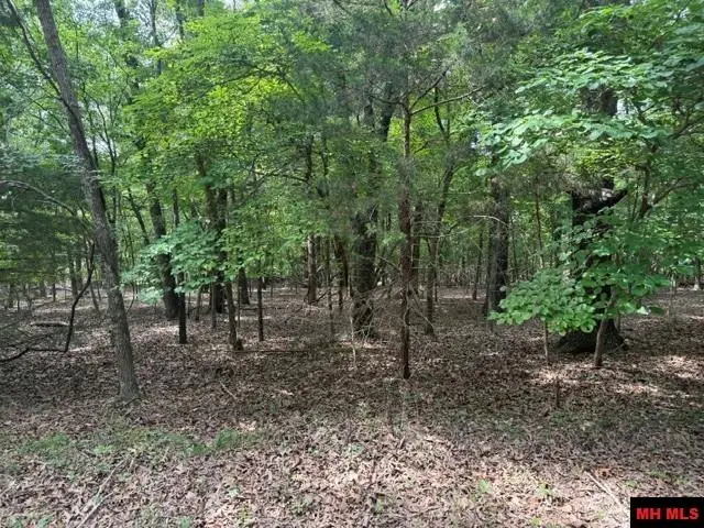 218 CR 472, Clarkridge, AR 72623 - #2