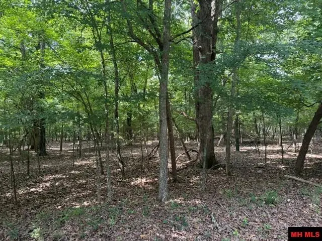 218 CR 472, Clarkridge, AR 72623 - #3