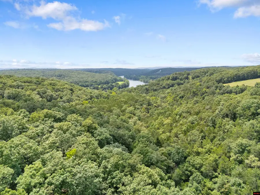 Tract 5 LYLE DRIVE, Mountain Home, AR 72653 - #3