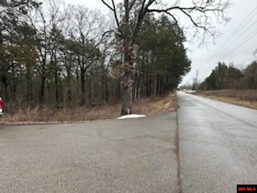 770-05121-000 HWY 62/412 EAST, Flippin, AR 72634 - #2