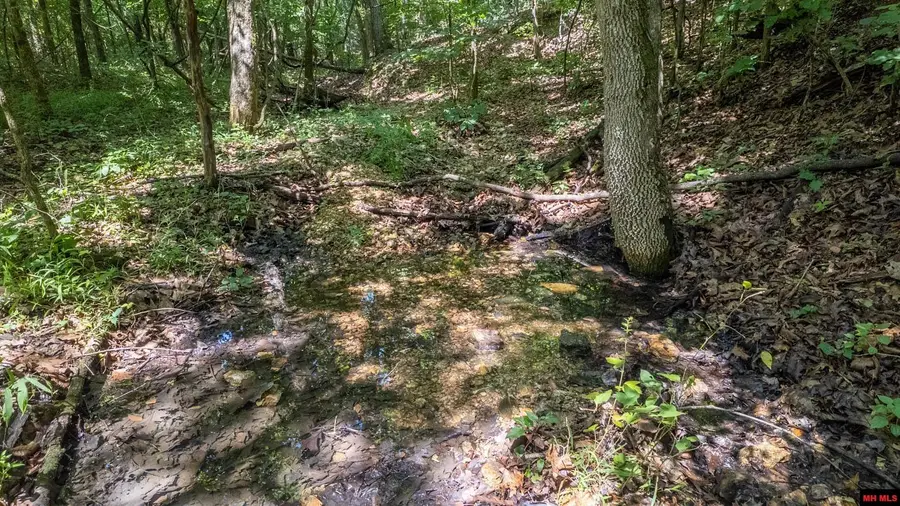 Tract 3 UPPER JANES CREEK ROAD, Ravenden, AR 72459 - #3