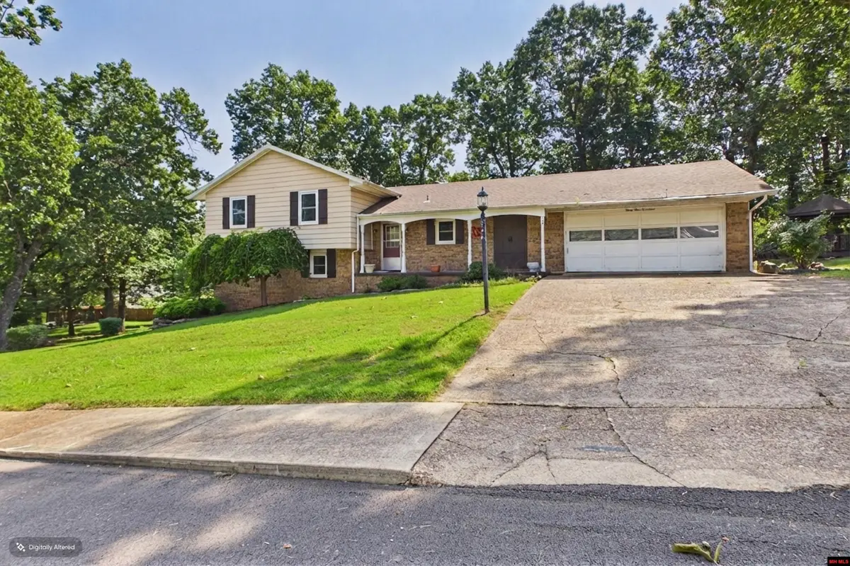 3117 PARTIPILO STREET, Mountain Home, AR 72653 - #1