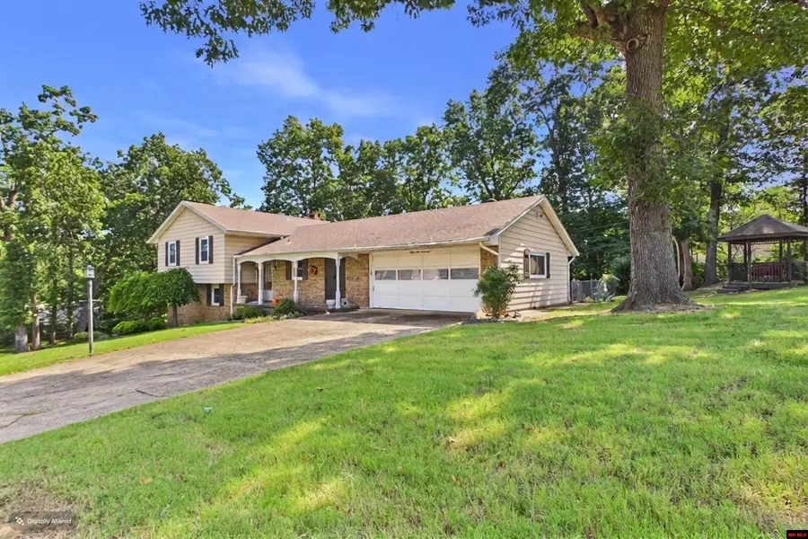 3117 PARTIPILO STREET, Mountain Home, AR 72653 - #2