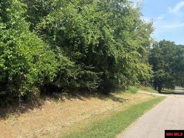 004-00076-000 SOUTH AVENUE, Cotter, AR 72626