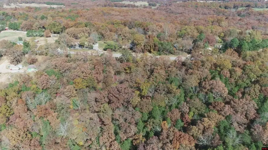 095021002002022 HWY 76, Kirbyville, MO 65679 - #3