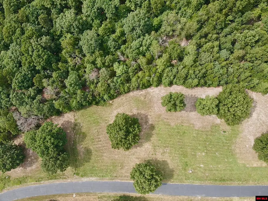 Lot 16 DENMARK CIRCLE, Mountain Home, AR 72653 - #2